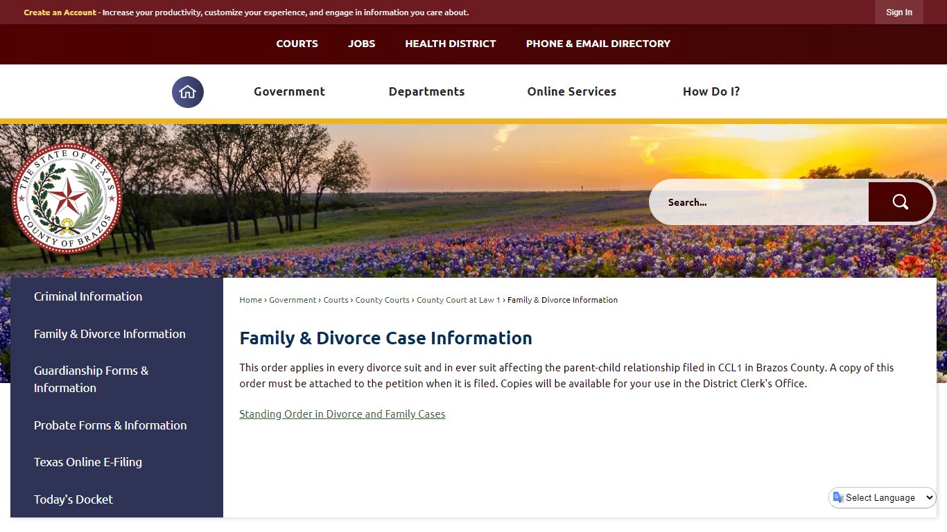 Family & Divorce Case Information - Brazos County, TX